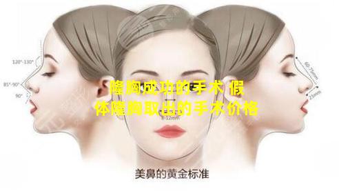 隆胸成功的手术 假体隆胸取出的手术价格
